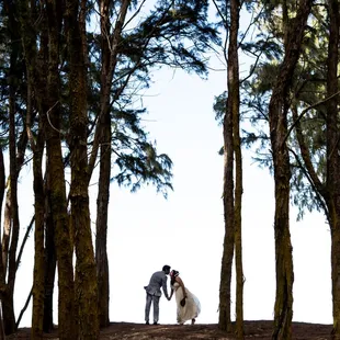 Waimanalo Forest Oahu Hawaii