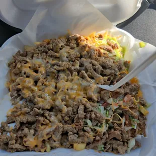 Carne Asada fries