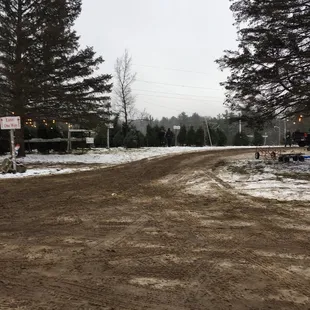 Pick a tree already cut or cut your own