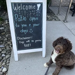 Dog friendly!  :)