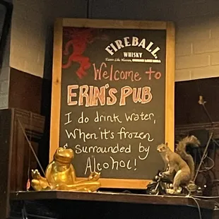 a chalkboard with a sign that says welcome to erin's pub