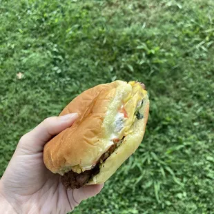 Cheeseburger with lettuce, pickles, mayo, ketchup
