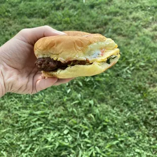 a person holding a sandwich in their hand