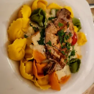 Tortellini with Gorgonzola cheese sauce and chicken