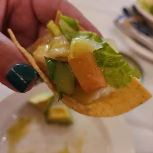 Red snapper ceviche on a corn chip