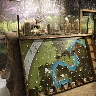 Nature exploration room