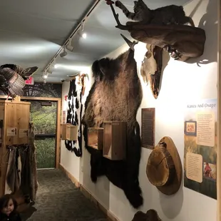 Nature exploration room