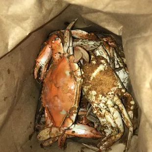 Another shot, smgdh...