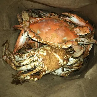 Lonely looking 1/2 dz "extra large". Smdh