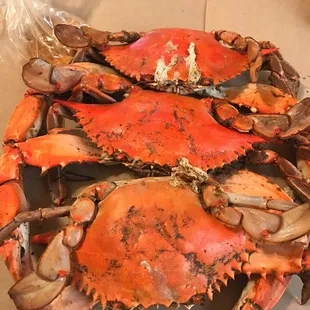 JUMBOS!!! Go big or go home!!!