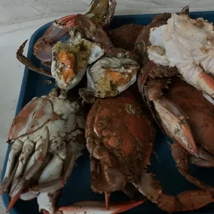 Large Crabs &amp; CrabLegs Clusters