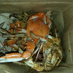 Half a dozen regular crabs