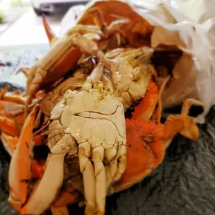 Male crabs (not that good)