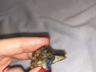 Sahara Mediterranean Grill