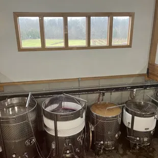 Wine fermentation, vineyards can be seen out window
