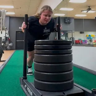 Sled push / pull