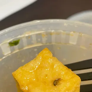 a piece of food in a plastic container