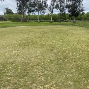 The greens are rough as you can see from here