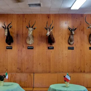 Bar Area - Animal Heads (10/09/24). #EscalonSportsmansClub #Escalon