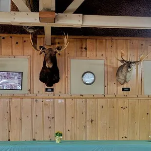 Main Hall - Animal Heads (10/09/24). #EscalonSportsmansClub #Escalon