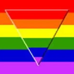 a rainbow flag with a triangle in the middle
