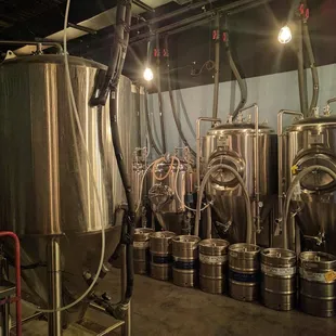 Stainless steel Beer fermenters from Escape brewing Co, Trinity, Tampa Bay