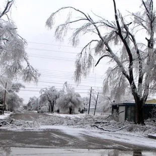 Ice Storm