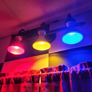 Wonderland Escape Room