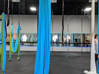 Aerial Fit2Fly