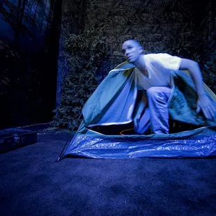 Forest Fugitive room