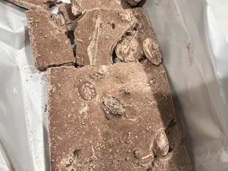 Indian Grocery Outlet