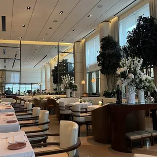 interior, sushi and sashimi