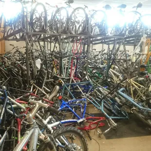 Yikes! So many bikes!