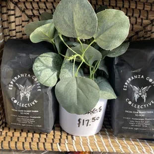 Esperanza Coffee Collective