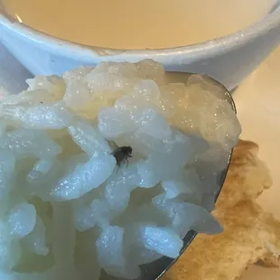 fly in food