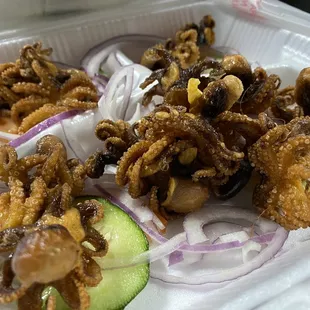 Pulpo  octopus