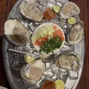 Oysters