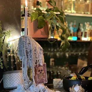 a kitchen counter with a potted plant