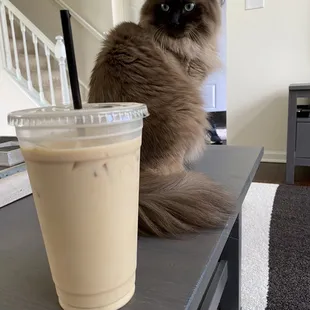 Vanilla Latte