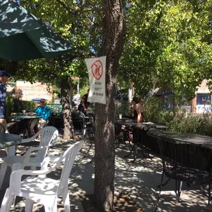 No dogs allowed on the terrace ... BAD!