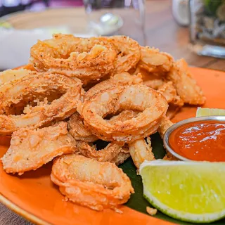 Fried Calamari