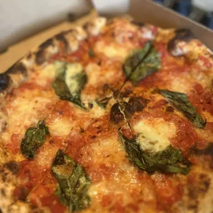 Margherita Pizza