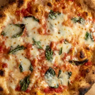 Margherita Pizza