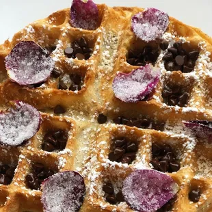 Valentine's Waffle (chocolate chips and candied rose petals, with rose syrup)