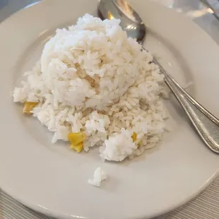 a plate of rice and a spoon