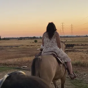 Riding this gorgeous  horse  at estate farms with the most stunning sunset