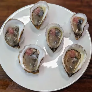 Oysters with Yuzu Kosho Mignonette