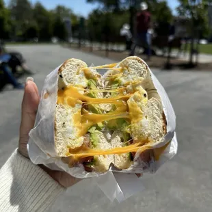 food, bagels, bagel
