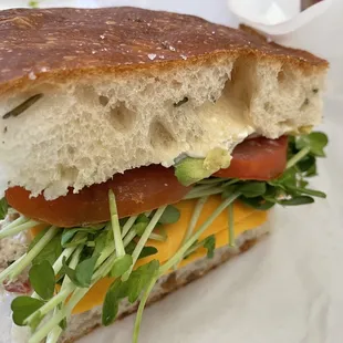 Fresh Herbed Albacore Tuna Sando, xtra sprouts- yummy!