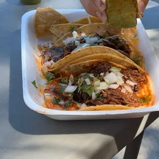 Birria tacos
